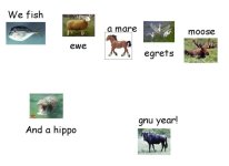 xmas_card.sized.jpg