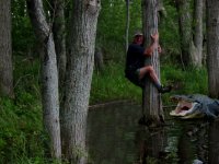 TreeHugger.jpg