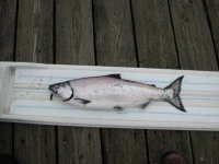 Feb4th2007BlackMouth.jpg