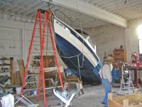 progress_photo34.sized.jpg