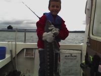 Austin_50incher.jpg