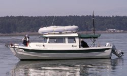 Halcyon_on_the_Nisqually_Delta.sized.jpg