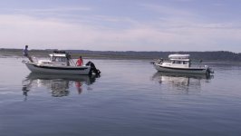 C_Run_and_Halcyon_at_Nisqually_Delta_7_14_07.sized.jpg