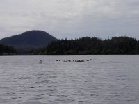 PICT0138.jpg