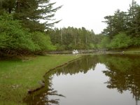 PICT0144.jpg