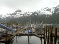 PICT0290.jpg