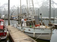 PICT0295.jpg