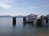 PICT0323.jpg