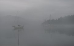 Fog2E.jpg