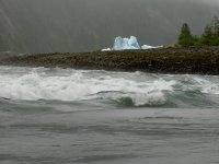 PICT0461.jpg