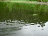 PICT0033.jpg