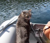MollyDingy1E.jpg