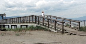 DockBeachE.jpg