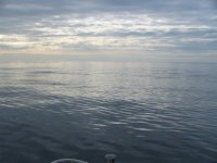 Flat_August_ocean.sized.jpg