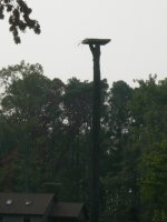 16_August_2007_007.sized.jpg