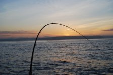 FishingPnPFriAm.jpg