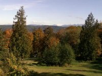 Fall_City_Fall_Colors.jpg