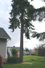 DSC_0011.jpg
