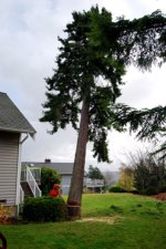 DSC_0013.jpg