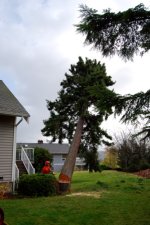 DSC_0014.jpg