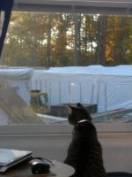 14_Nov_2007_049.sized.jpg