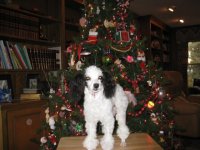 img_0015.sized.jpg