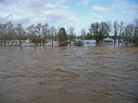 flood.sized.jpg