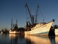 Shrimpers2E.jpg