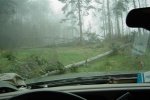 DSC02065.thumb.jpg