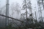 DSC02068.thumb.jpg