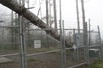 DSC02070.thumb.jpg