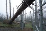 DSC02072.thumb.jpg