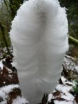 ice_flower_bottom.thumb.jpg