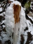 ice_flower_top.thumb.jpg