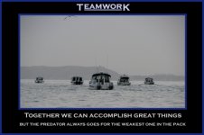 Teamwork.sized.jpg
