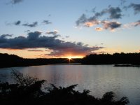 IMG_2736.sized.jpg
