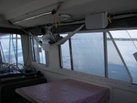 100_0549.sized.jpg