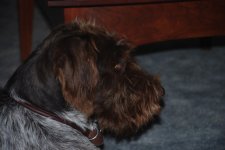 DSC_0054.sized.jpg