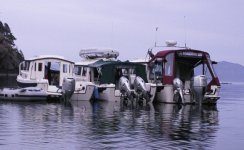 ey_Halcyon_and_Daydream_at_Matia_Cove_6_9_07.sized.jpg
