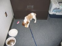 IMG_4935.sized.jpg