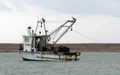 BayShrimperE_001.jpg
