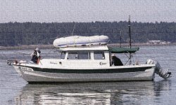 Halcyon_on_the_Nisqually_Delta_Painting.jpg