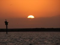 SunriseE1.sized.jpg