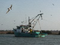 BayShrimperARTe.sized.jpg