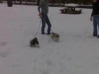 IMG00291.sized.jpg