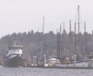 Shilshole_Marina_China_Painting.sized.jpg