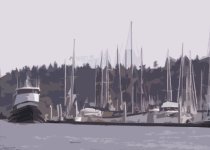 Shilshole_Marina_Cutout.sized.jpg