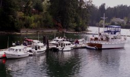 C_Dorys_at_Jarrell_Cove_Dock.jpg