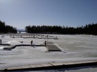 spring_2008_home_Yellowstone_015.jpg