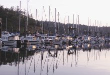 C_Dorys_on_H_Dock_Friday_Harbor.jpg